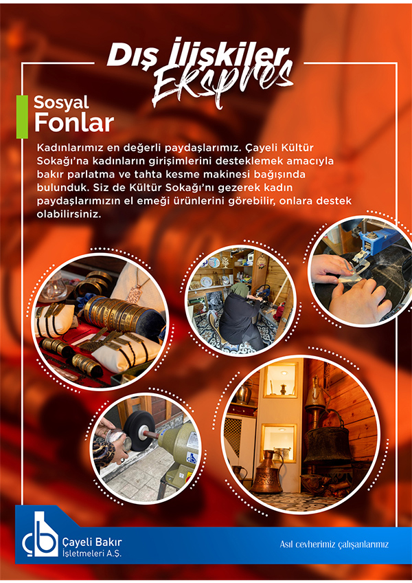 Sosyal Fonlar çalışmaları