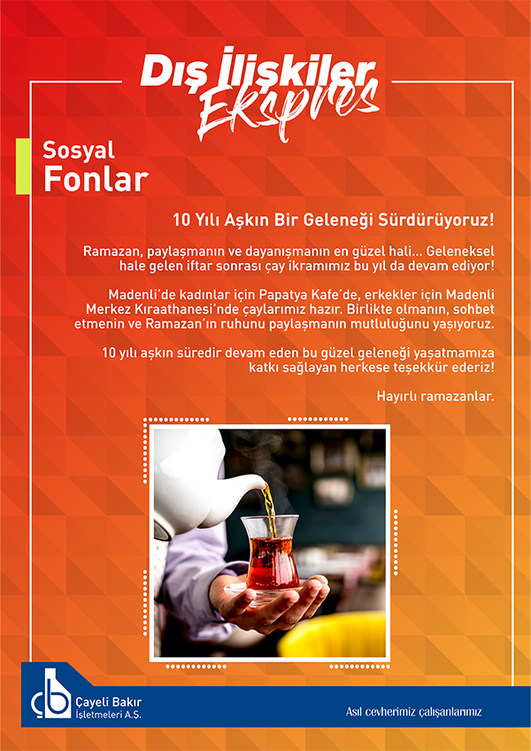 Sosyal Fonlar çalışmaları